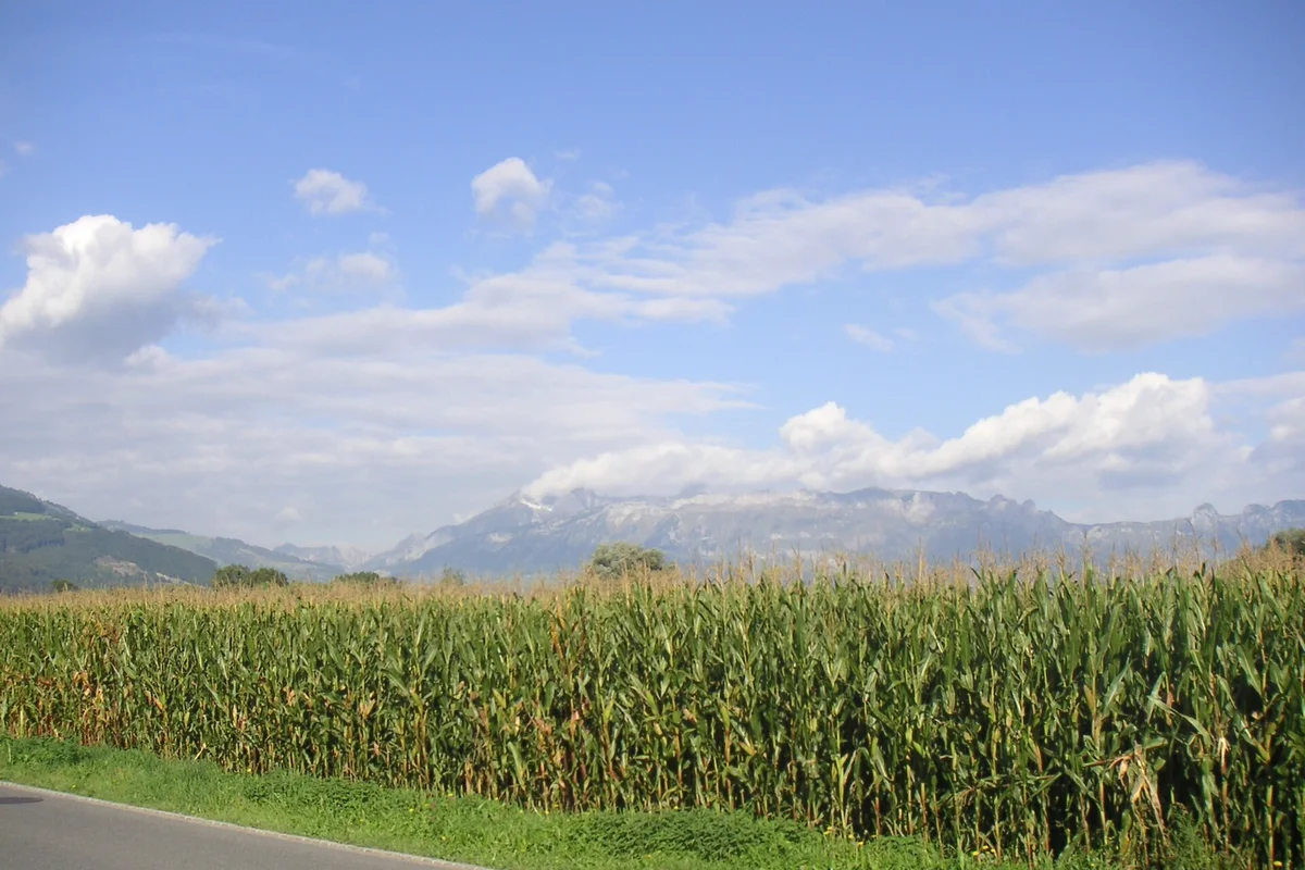 Alpine Fields of Liechtenstein