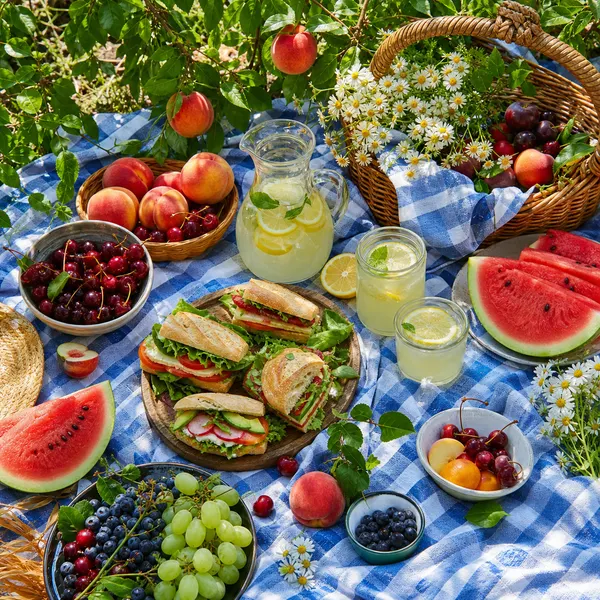 Sommerliches Obstpicknick im Garten